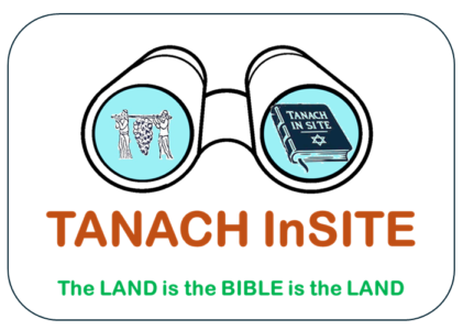 Tanach InSite